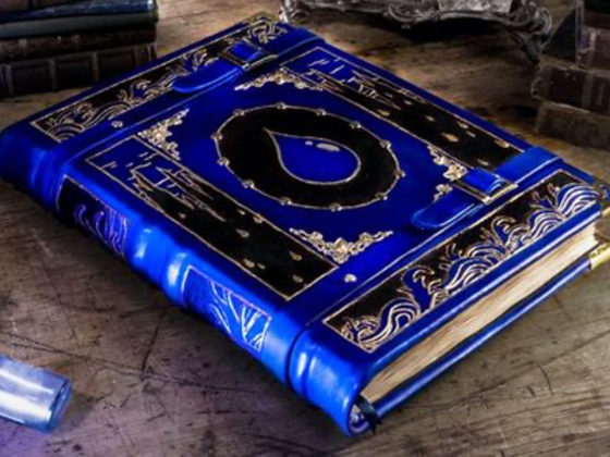Ein in blaues Leder gebundes Buch