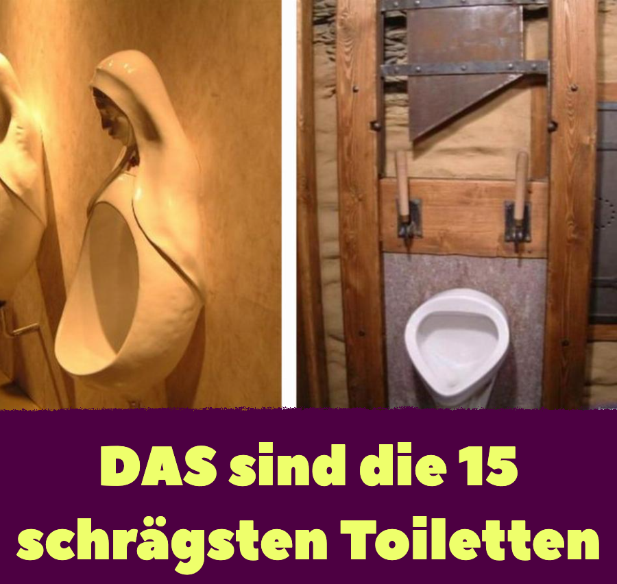 Lustige Bilder: 15 kuriose Toiletten