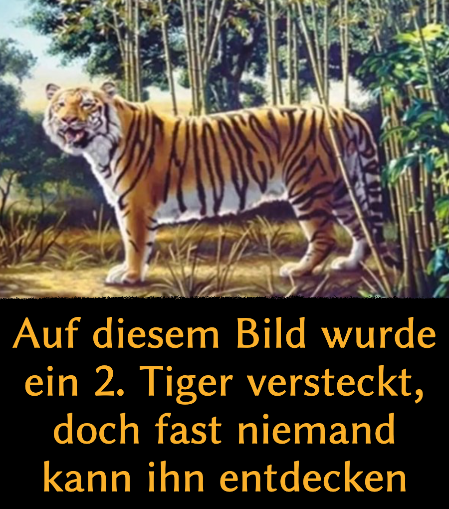Bilderrätsel für Erwachsene: Wo ist der zweite, versteckte Tiger?