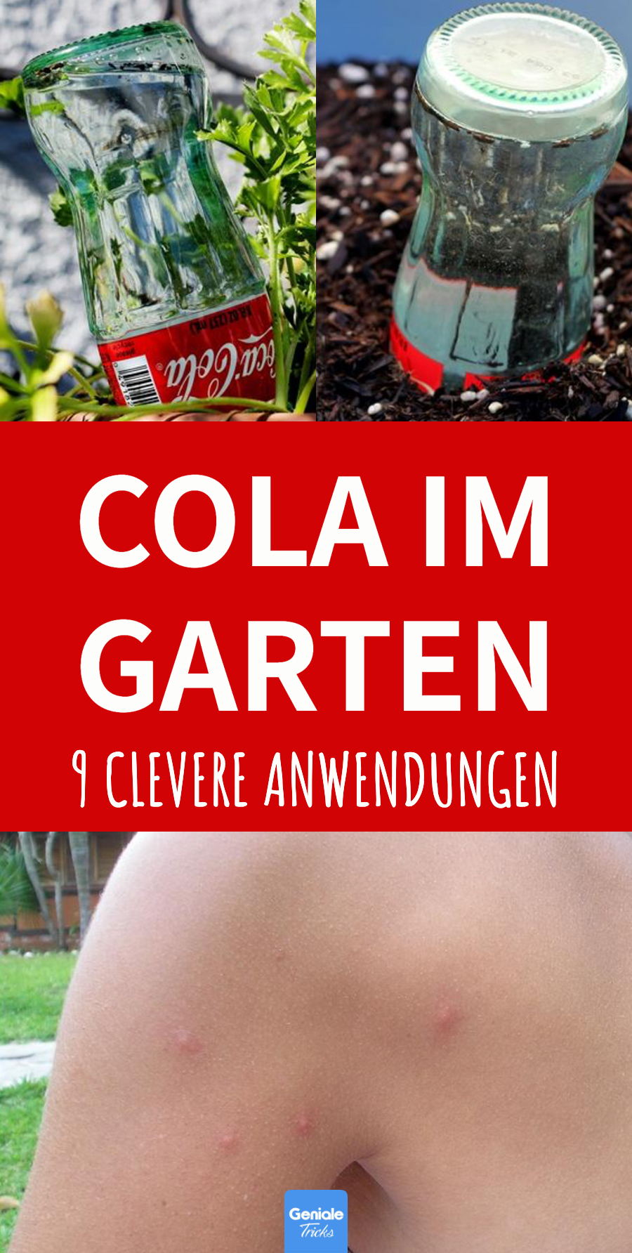 9 Cola-Hacks für den Garten, die du dir merken musst