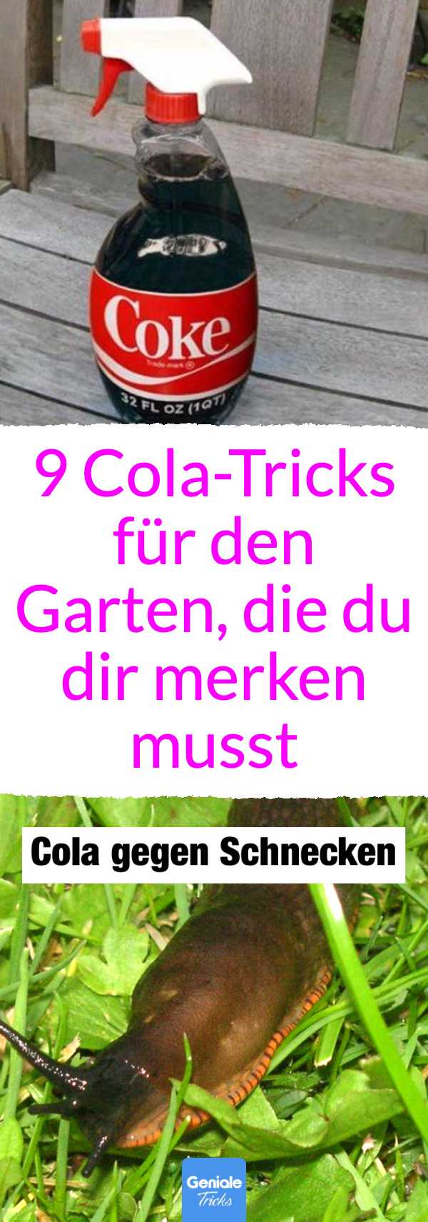 9 Cola-Hacks für den Garten, die du dir merken musst