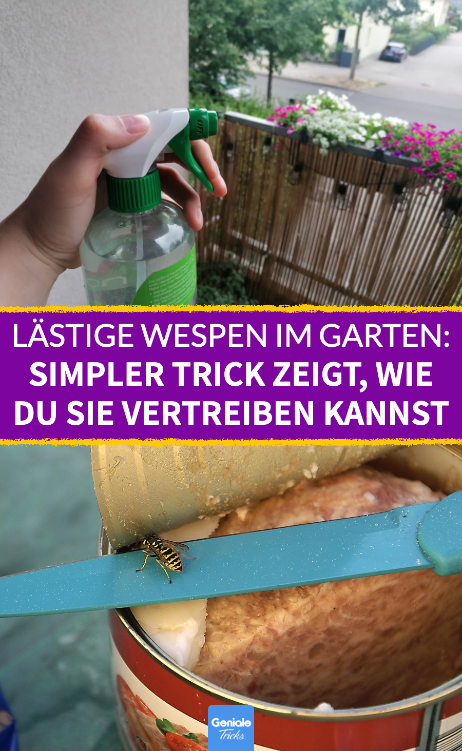 Simpler Trick zeigt, wie du Wespen tierfreundlich vertreiben kannst