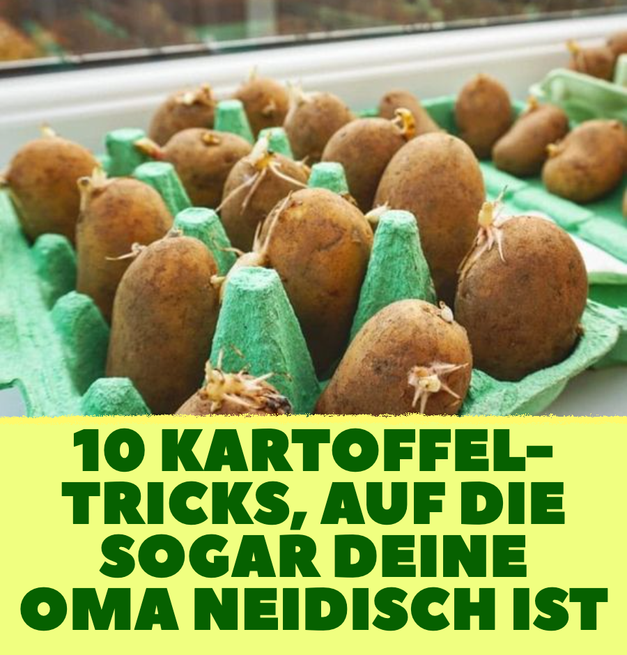 So vielseitig ist die Kartoffel wirklich: die 10 besten Tricks