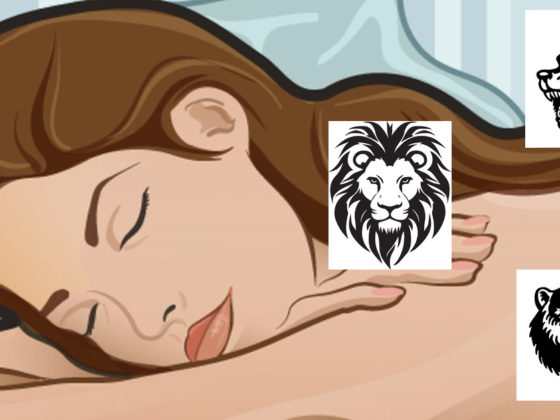 Eine Illustration einer braunhaarigen, schlafenden Frau. Darüber wurden drei Illustrationen eingefügt. Ein Löwe, Wolf und Bär in schwarz-weiß.